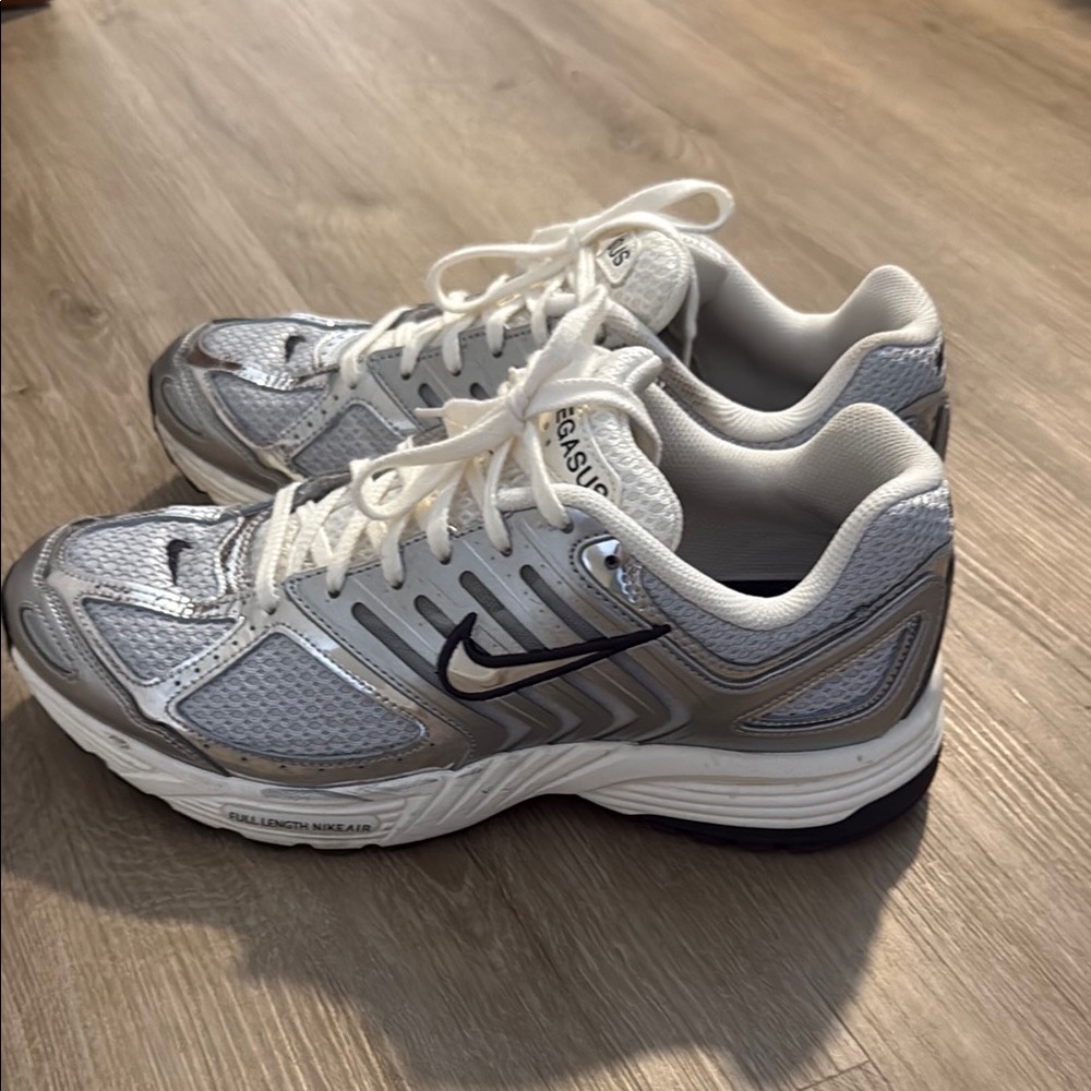 Nike Pegasus 2005 Silver / Grey